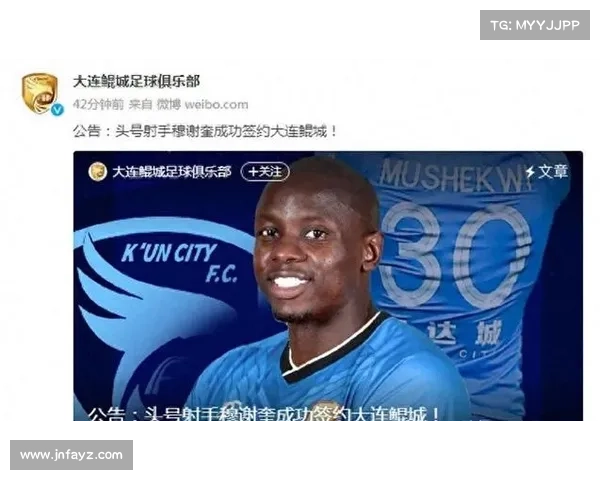 大连鲲城与穆谢奎：契约内容全解析